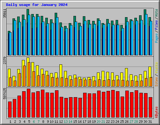 Daily usage for January 2024