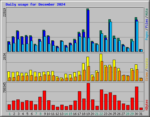 Daily usage for December 2024