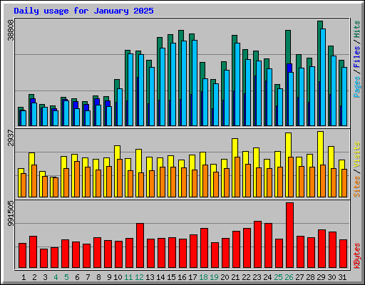 Daily usage for January 2025