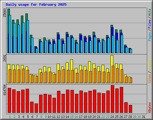 Daily usage for February 2025