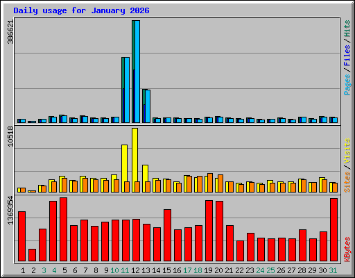 Daily usage for January 2026