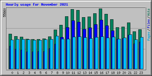 Hourly usage for November 2021