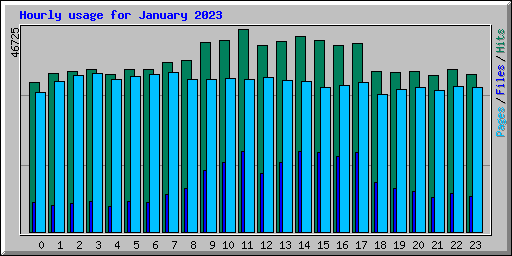 Hourly usage for January 2023