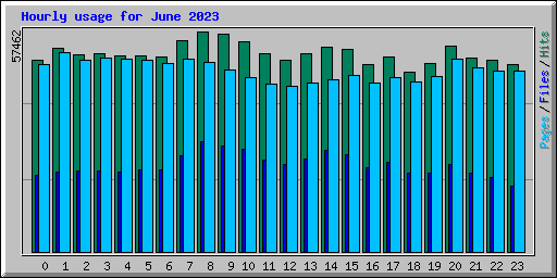 Hourly usage for June 2023