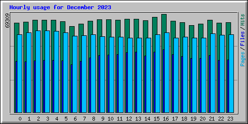 Hourly usage for December 2023