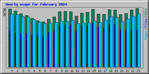 Hourly usage for February 2024