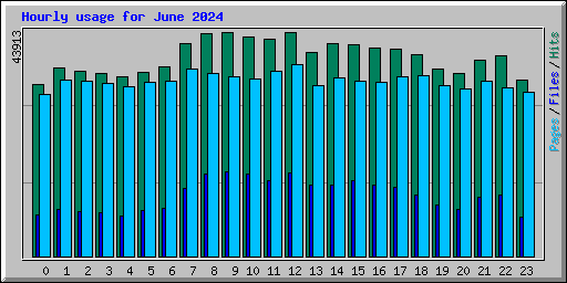 Hourly usage for June 2024