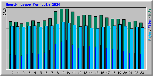 Hourly usage for July 2024