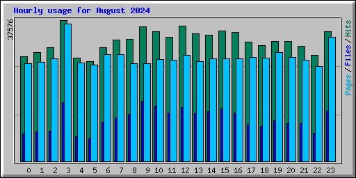 Hourly usage for August 2024