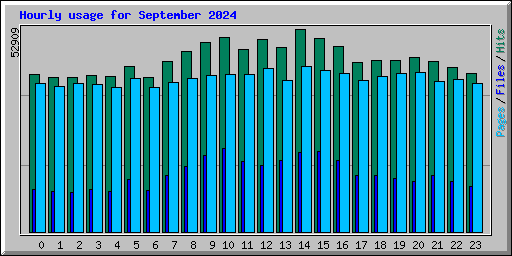 Hourly usage for September 2024