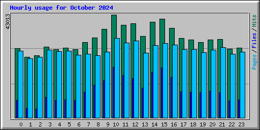 Hourly usage for October 2024