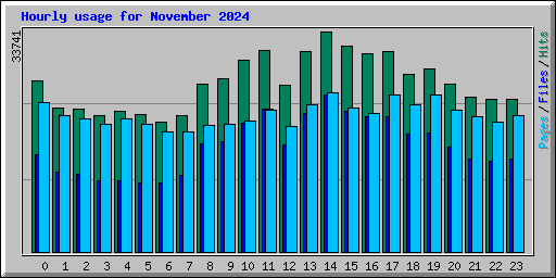 Hourly usage for November 2024