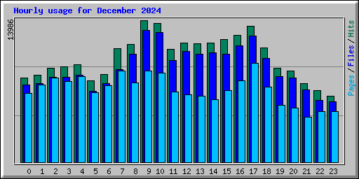 Hourly usage for December 2024