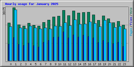 Hourly usage for January 2025