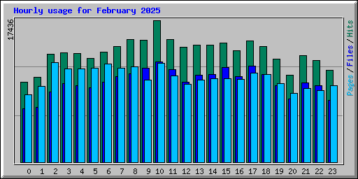 Hourly usage for February 2025