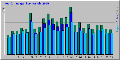 Hourly usage for March 2025