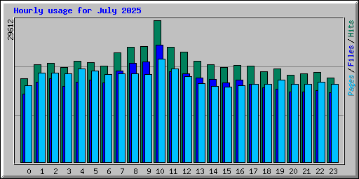 Hourly usage for July 2025