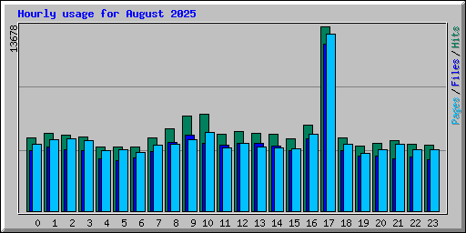 Hourly usage for August 2025