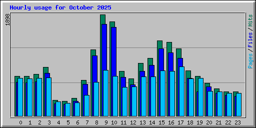Hourly usage for October 2025