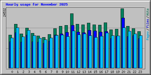 Hourly usage for November 2025