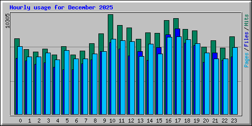 Hourly usage for December 2025